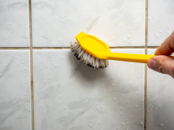 Best Residential Mold Remediation in Burbank, IL