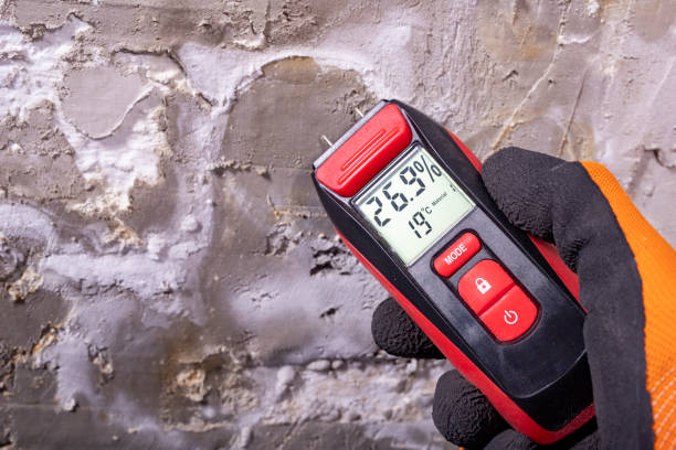 Burbank, IL Mold Remediation Company