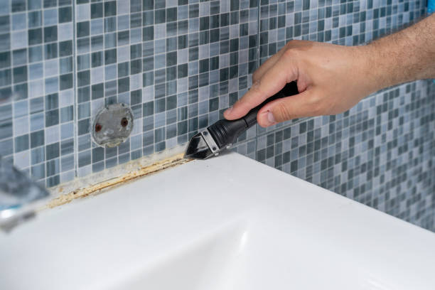 Best Emergency Mold Remediation in Burbank, IL
